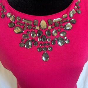 Raspberry Embellished Sheath Mini Dress